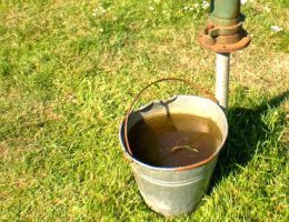 puszcza kampinoska wiadro pompa