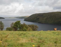 szkocja namiot, Isle of Skye