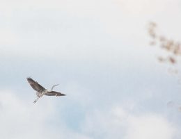 łowisko wędkarskie, łowisko mazowsze