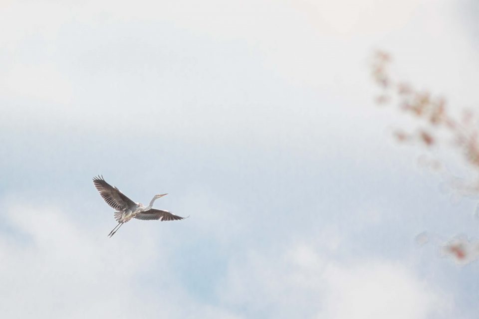 łowisko wędkarskie, łowisko mazowsze