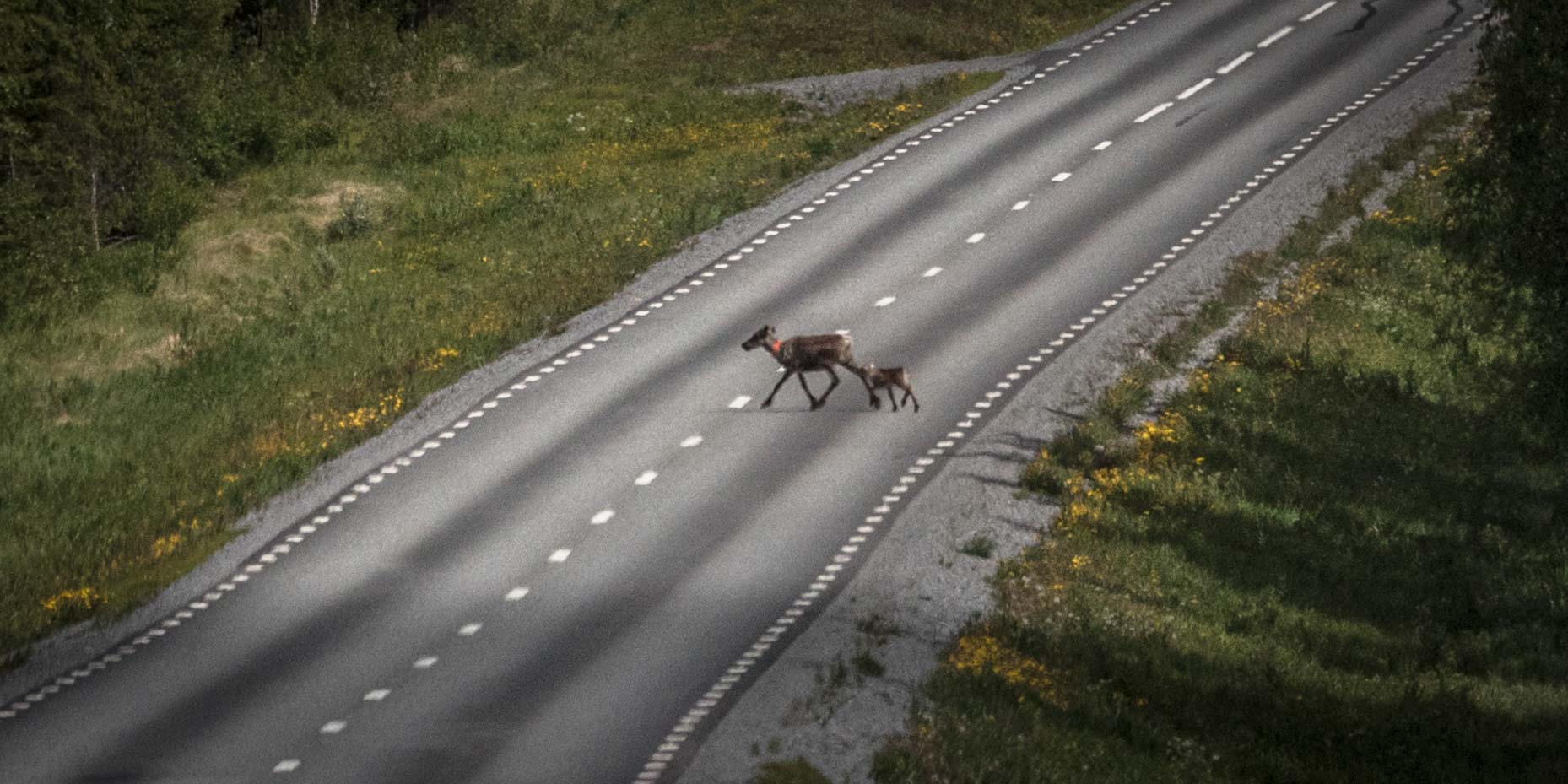 Lofoty, Norwegia