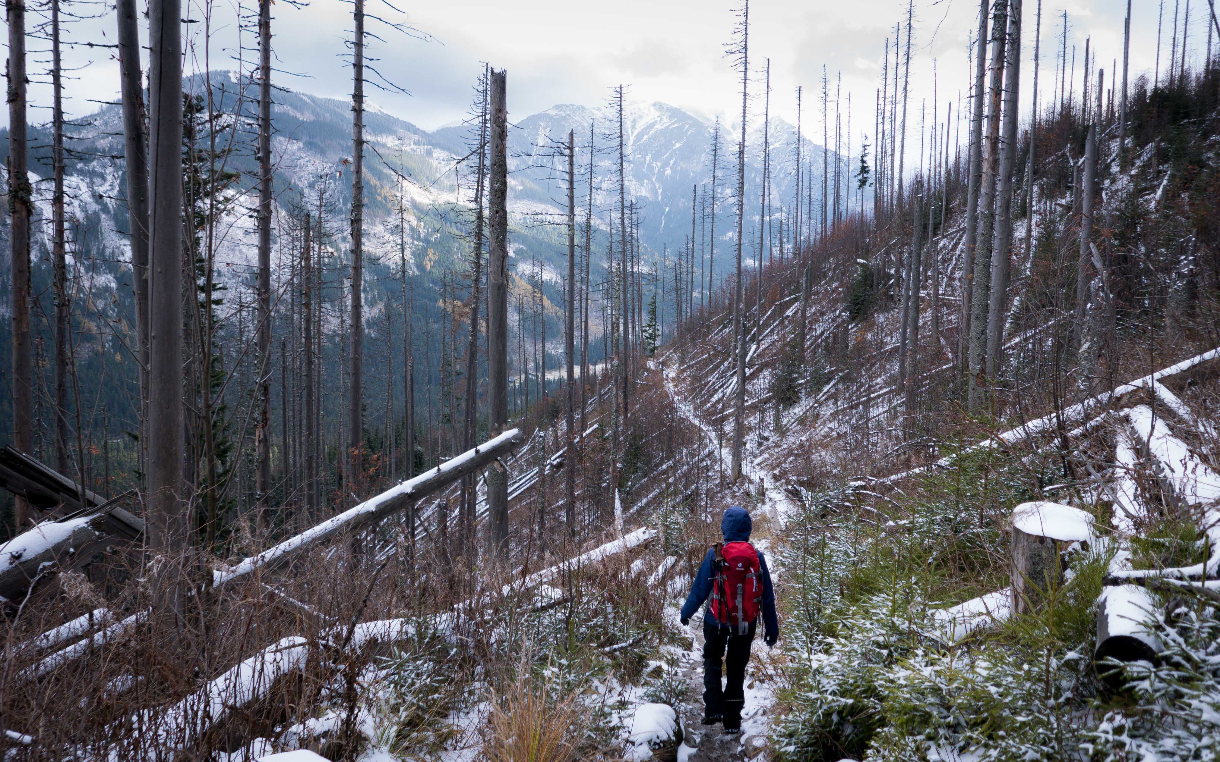 tatry, listopad