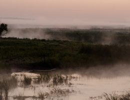 dolina biebrzy rzeka
